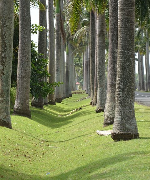 La Guadeloupe