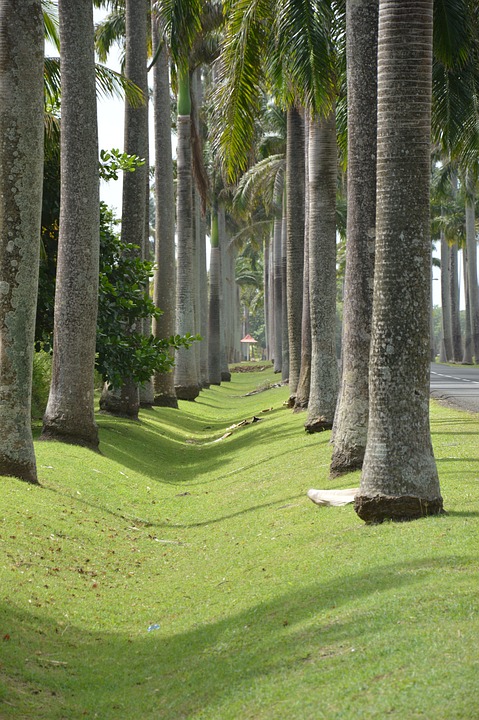 La Guadeloupe